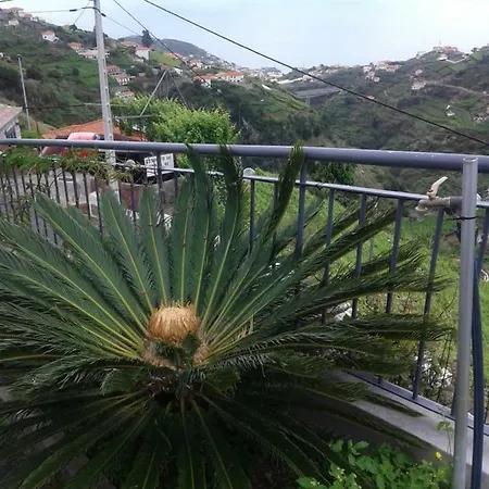 Barros * Estreito de Camara de Lobos